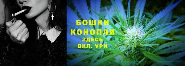 дживик Ступино