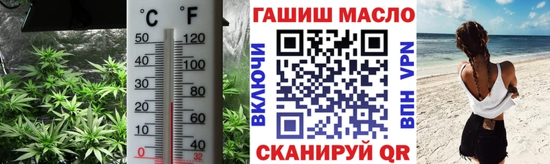 сколько стоит  darknet Telegram  ТГК концентрат  Ворсма 